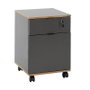 Hanah Home Rkm-311-Ax-1 Armario Multiusos Antracita y Roble